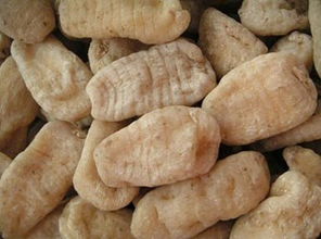 天麻長(zhǎng)什么樣子圖片